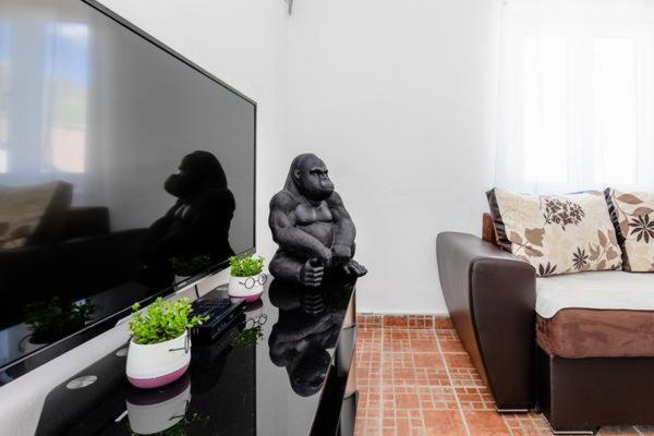 Apartments Ivo Bozinovic Тиват Екстер'єр фото